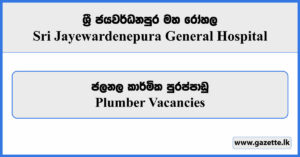 Plumber - Sri Jayewardenepura General Hospital Vacancies 2025