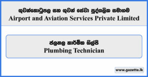 Plumbing Technician - Airport and Aviation Services Private Limited Vacancies 2024