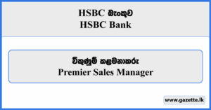 Premier Sales Manager - HSBC Bank Vacancies 2024
