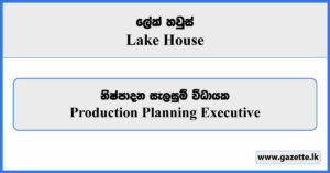 Production Planning Executive - Lake House Vacancies 2024