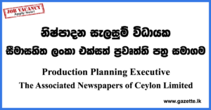 Production Planning Executive