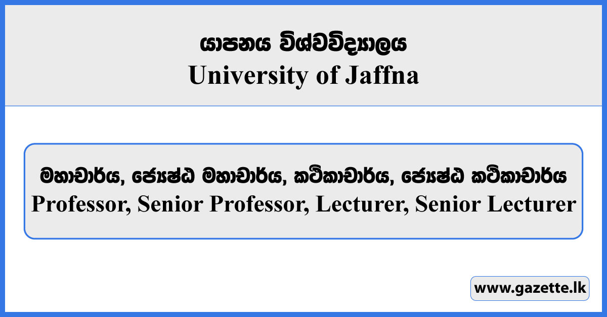 Professor, Senior Professor, Lecturer, Senior Lecturer - University Of ...