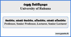 Professor, Senior Professor, Lecturer, Senior Lecturer - University of Ruhuna Vacancies 2024