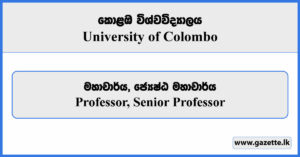 Professor, Senior Professor - University of Colombo Vacancies 2024