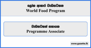 Programme Associate - World Food Program Vacancies 2024