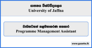 Programme Management Assistant - University of Jaffna Vacancies 2024