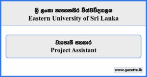 Project Assistant - Eastern University of Sri Lanka Vacancies 2024