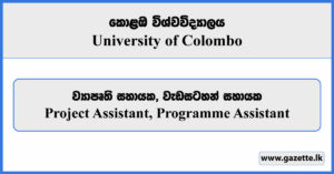 Project Assistant, Programme Assistant - University of Colombo Vacancies 2024