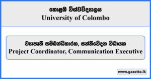Project Coordinator, Communication Executive - University of Colombo Vacancies 2024