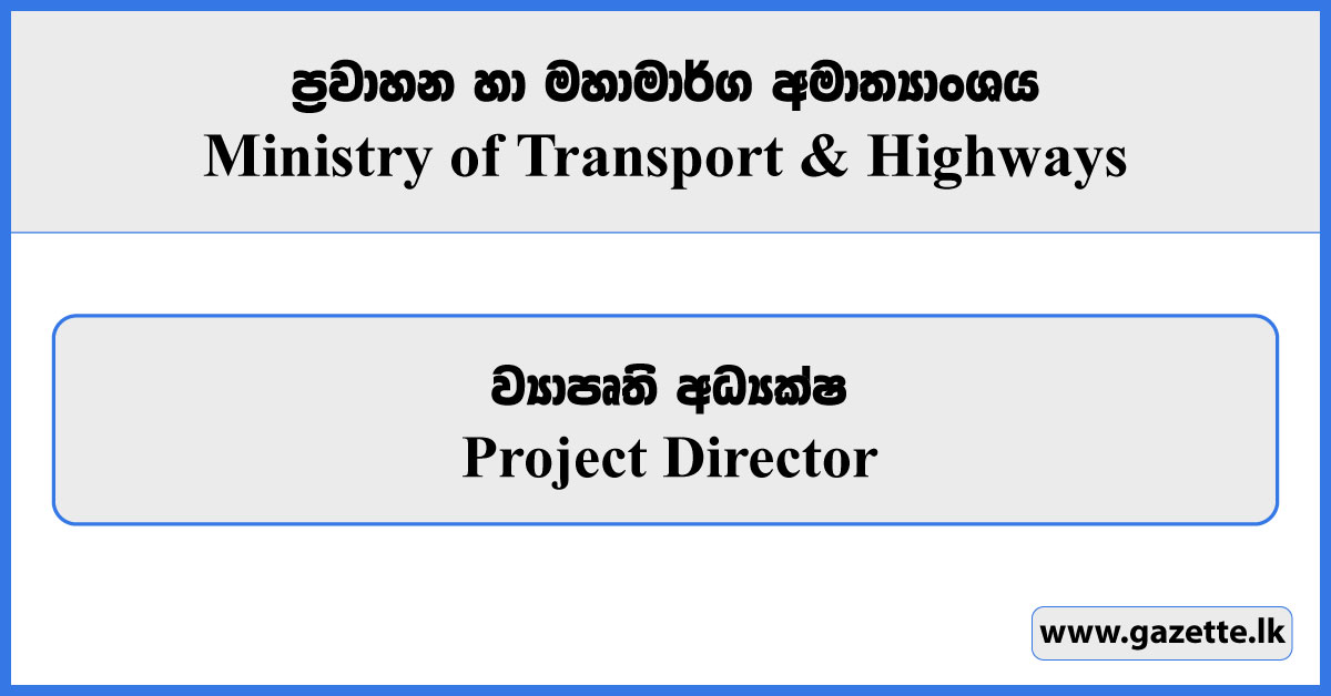 Project Director - Ministry of Transport & Highways Vacancies 2024