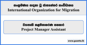 Project Manager Assistant - International Organization for Migration Vacancies 2024