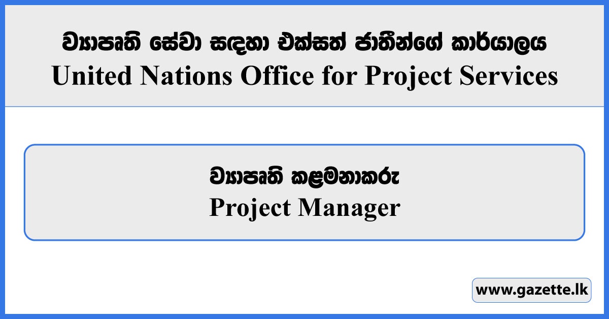 Project Manager - United Nations Office for Project Services Vacancies 2024