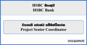 Project Senior Coordinator - HSBC Bank Vacancies 2024