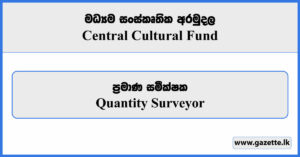 Quantity Surveyor - Central Cultural Fund Vacancies 2024