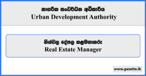 Real Estate Manager - Urban Development Authority Vacancies 2024