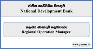 Regional Operation Manager - National Development Bank Vacancies 2024