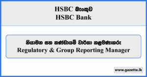 Regulatory & Group Reporting Manager - HSBC Bank Vacancies 2024