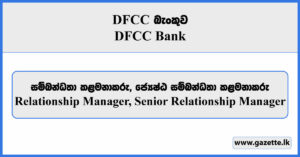 Relationship Manager, Senior Relationship Manager - DFCC Bank Vacancies 2024