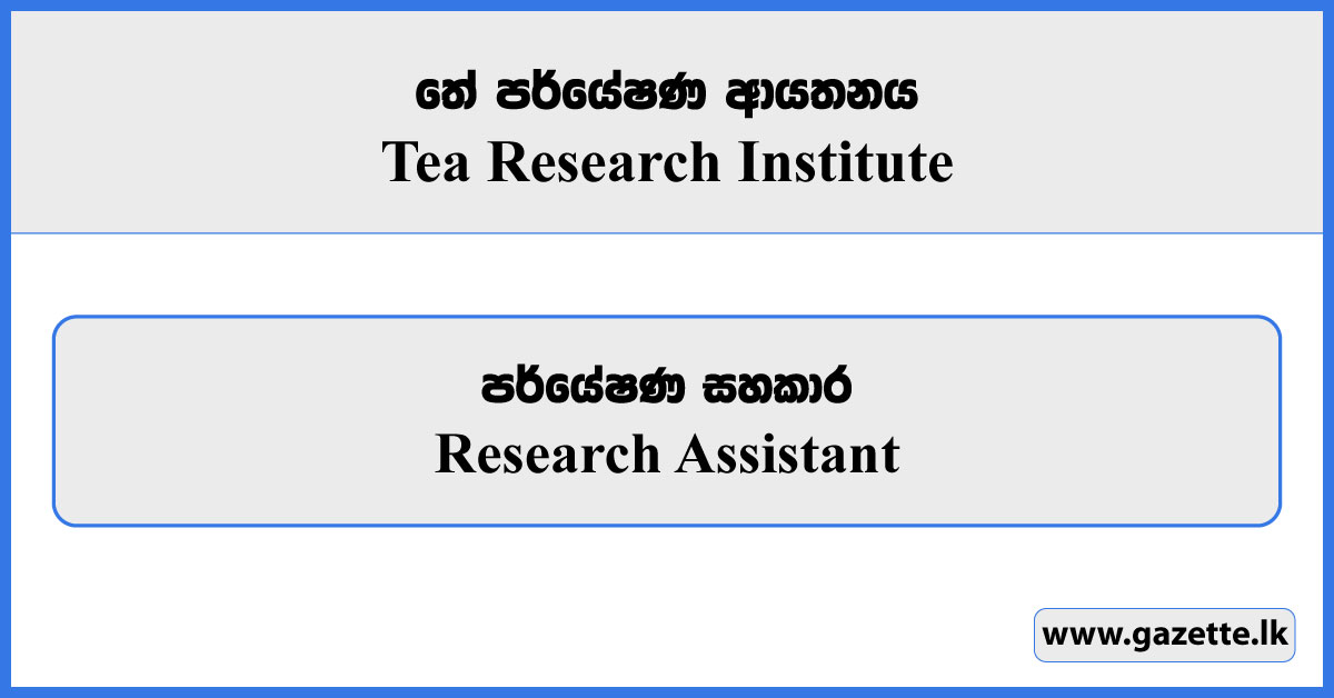 Research Assistant - Tea Research Institute Vacancies 2025