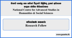 Research Fellow - National Centre for Advanced Studies in Humanities & Social Sciences Vacancies 2024