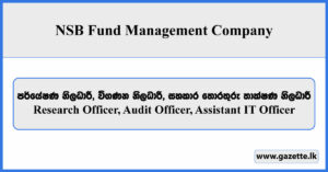 Research Officer, Audit Officer, Assistant IT Officer - NSB Fund Management Company Vacancies 2025