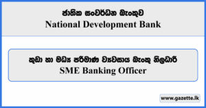 SME Banking Officer - National Development Bank Vacancies 2024