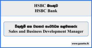 Sales and Business Development Manager - HSBC Bank Vacancies 2024