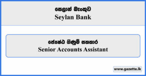 Senior Accounts Assistant - Seylan Bank Vacancies 2024