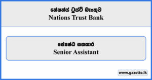 Senior Assistant - Nations Trust Bank Vacancies 2024