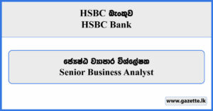 Senior Business Analyst - HSBC Bank Vacancies 2025