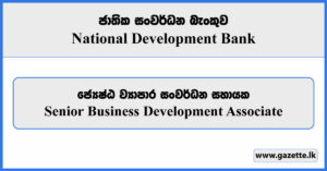 Senior Business Development Associate - National Development Bank Vacancies 2024