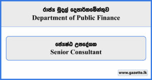 Senior Consultant - Department of Public Finance Vacancies 2025