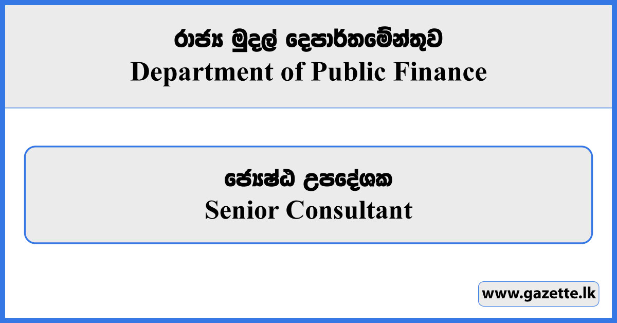 Senior Consultant - Department of Public Finance Vacancies 2025