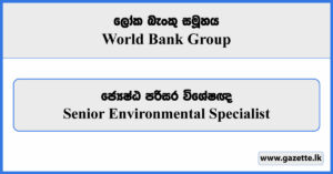 Senior Environmental Specialist - World Bank Group Vacancies 2024