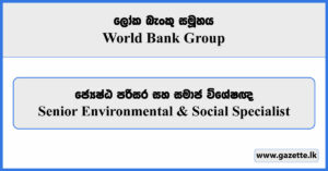 Senior Environmental & Social Specialist - World Bank Group Vacancies 2025