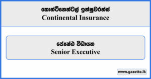 Senior Executive - Continental Insurance Vacancies 2024