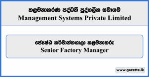 Senior Factory Manager - Management Systems Private Limited Vacancies 2024