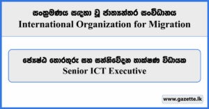 Senior Information & Communications Technology Executive - International Organization for Migration Vacancies 2024