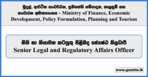 Senior Legal and Regulatory Affairs Officer - Ministry of Finance, Economic Development, Policy Formulation, Planning and Tourism Vacancies 2024