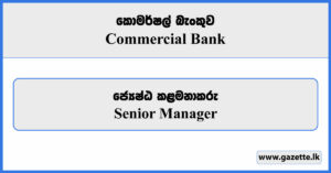 Senior Manager - Commercial Bank Vacancies 2024