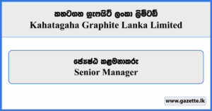 Senior Manager - Kahatagaha Graphite Lanka Limited Vacancies 2025