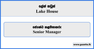 Senior Manager - Lake House Vacancies 2024