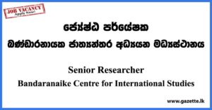 Senior Researcher - Bandaranaike Centre for International Studies