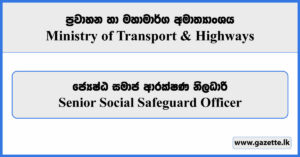 Senior Social Safeguard Officer - Ministry of Transport & Highways Job Vacancies 2024