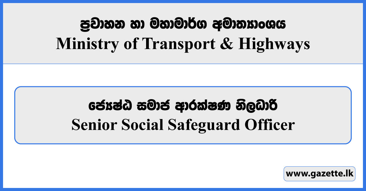 Senior Social Safeguard Officer - Ministry of Transport & Highways Job Vacancies 2024