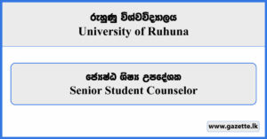 Senior Student Counselor - University of Ruhuna Vacancies 2025