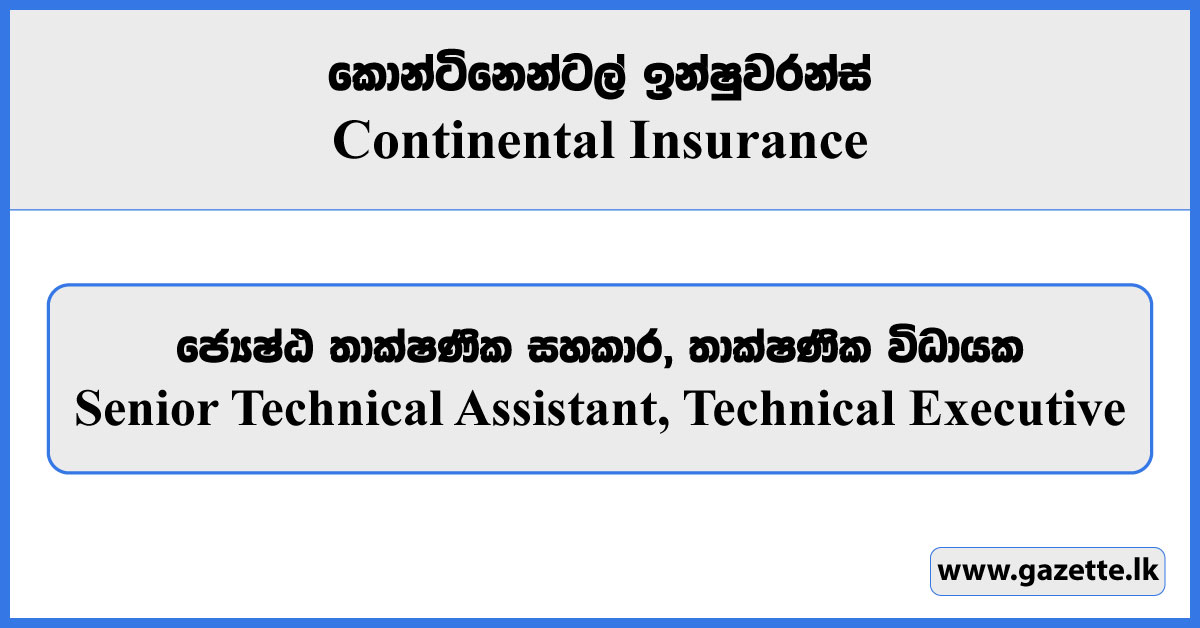 Senior Technical Assistant, Technical Executive - Continental Insurance Vacancies 2024