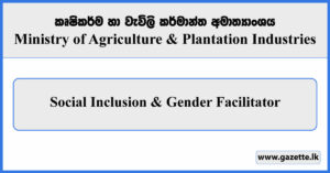 Social Inclusion & Gender Facilitator (Smallholder Agribusiness & Resilience Project) - Ministry of Agriculture Vacancies 2024