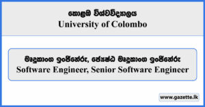 Software Engineer, Senior Software Engineer - University of Colombo Vacancies 2025