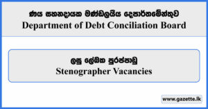 Stenographer - Department of Debt Conciliation Board Vacancies 2024